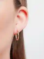 Золотой серьги - кольца конго