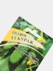 Семена Огурец "Кураж"