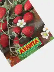 Земляника Лесная сказка (семена,цветы)