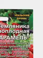 Семена Земляника "Карамель"