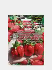 Семена Земляника "Карамель"
