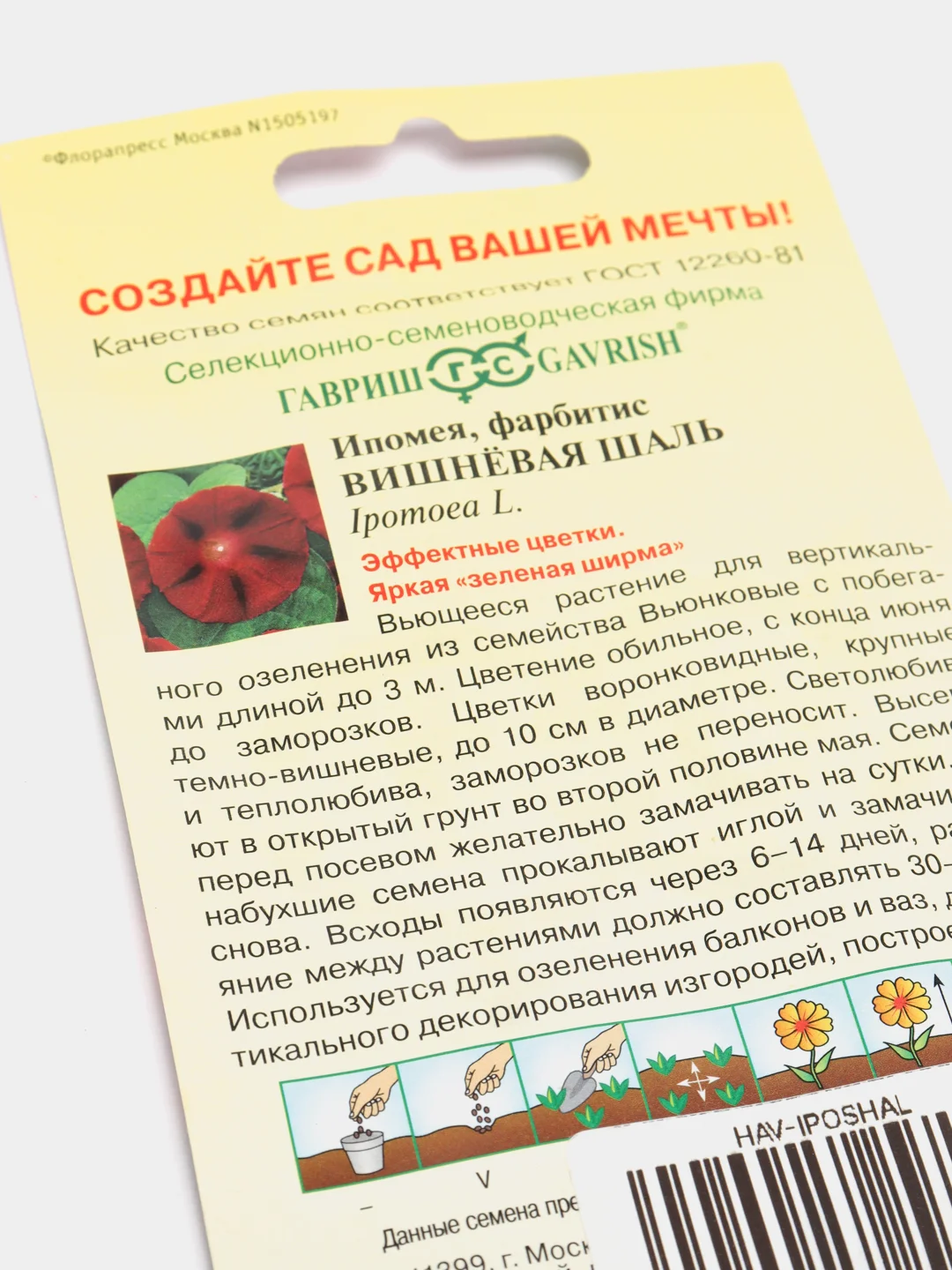 Ипомея пурпурная Вишнёвая Шаль, семена
