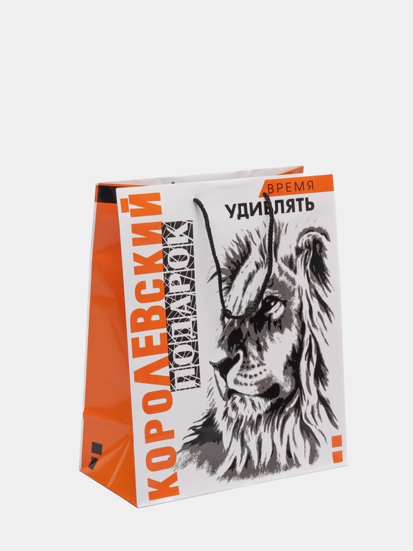 Пакет бум. лам. L (264х136х327 мм.) "Микс Мужской №3" (4 дизайна)