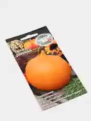 Тыква Дынная (семена)