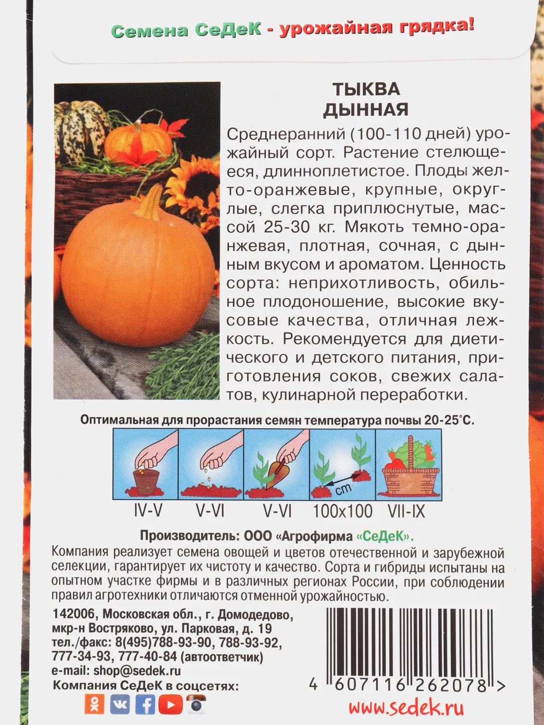 Тыква Дынная (семена)