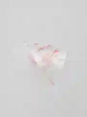 Мешки кондитерские, одноразовые