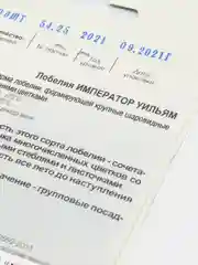 Семена Лобелия "Император Уильям" набор 1, 2, 3, 5 уп