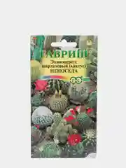Семена Кактус смесь "Непоседа" набор 1, 3, 5 уп