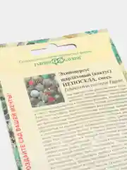 Семена Кактус смесь "Непоседа" набор 1, 3, 5 уп