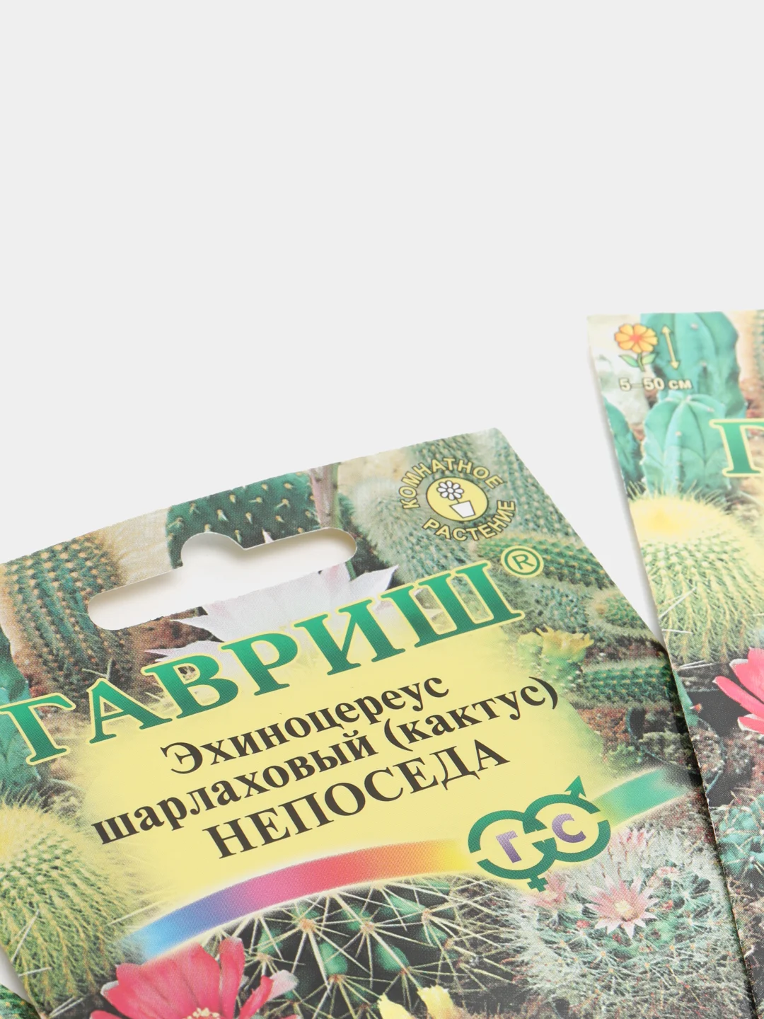 Семена Кактус смесь "Непоседа" набор 1, 3, 5 уп