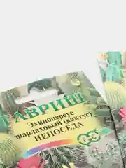 Семена Кактус смесь "Непоседа" набор 1, 3, 5 уп