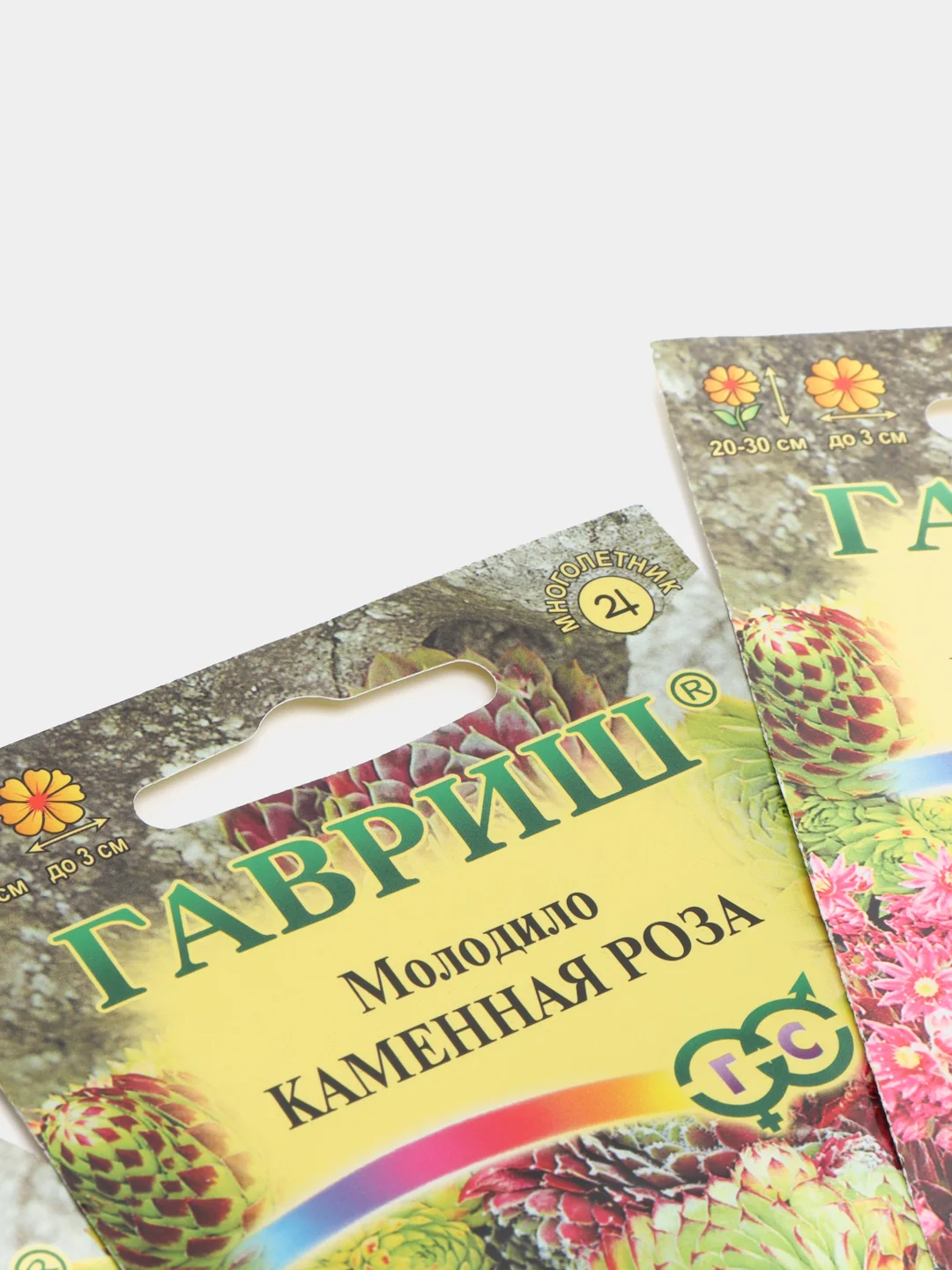 Семена Молодило "Каменная Роза" набор 1, 3, 5 уп
