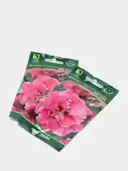 Семена Петуния махровая многоцветковая Дуо Роуз