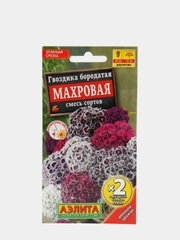 Семена Гвоздика бородатая смесь сортов "Махровая" набор 1, 3, 5 уп