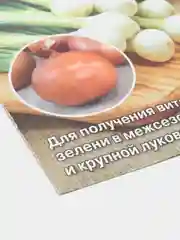 Семена Лук репчатый Восторг набор 1, 3, 5 уп