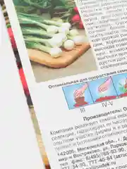 Семена Лук репчатый Восторг набор 1, 3, 5 уп