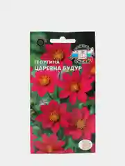 Семена Георгина "Царевна Будур" набор 1, 3, 5 уп