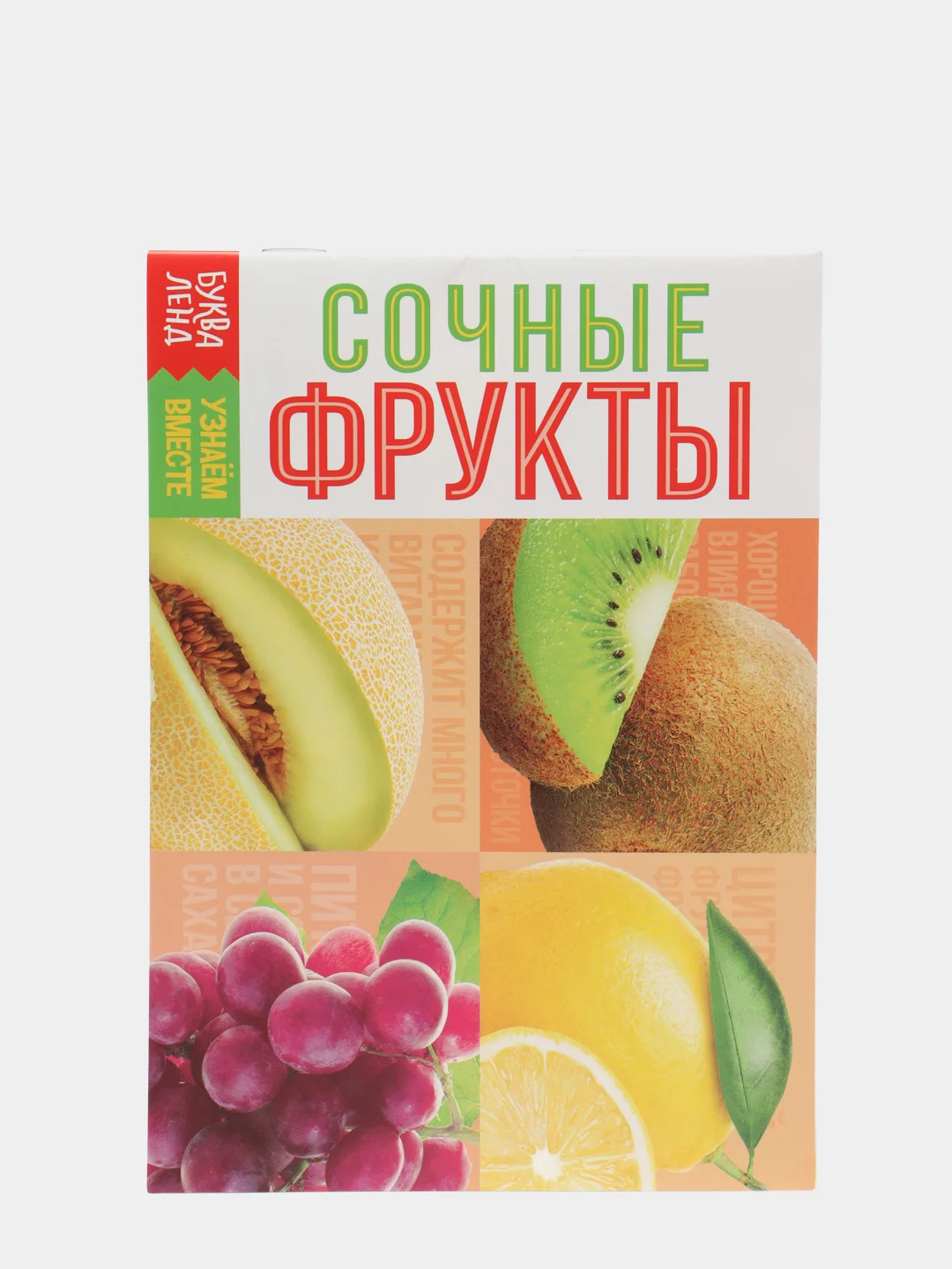 Терракотовый обучающие книги "Овощи, Цветы, Природные явления, Деревья, Ягоды, Фрукты"