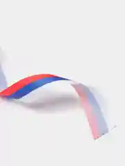 Лента атласная Триколор, односторонняя, 25 мм, 18 ±1 м