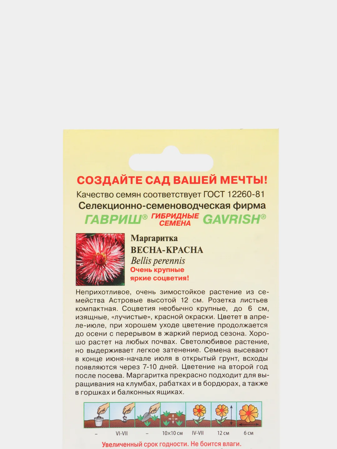 Семена цветы "Маргаритка Весна красна"