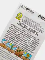 Семена Вербена гибридная "Гранатовая звезда"