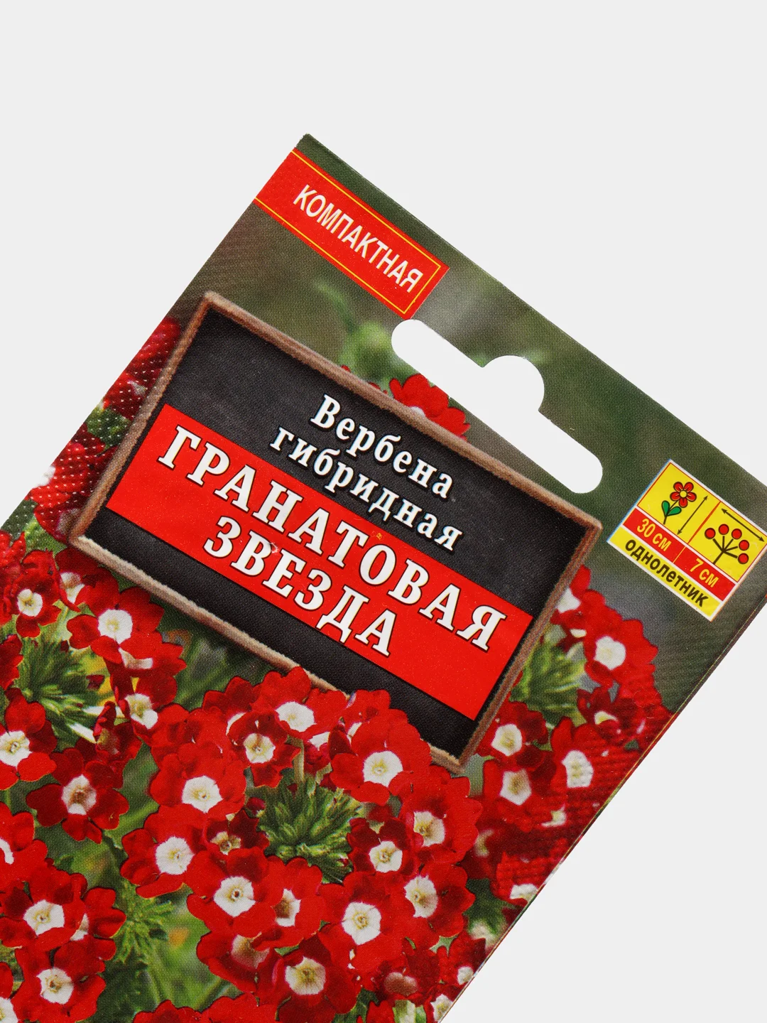 Семена Вербена гибридная "Гранатовая звезда"