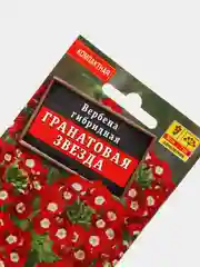 Семена Вербена гибридная "Гранатовая звезда"
