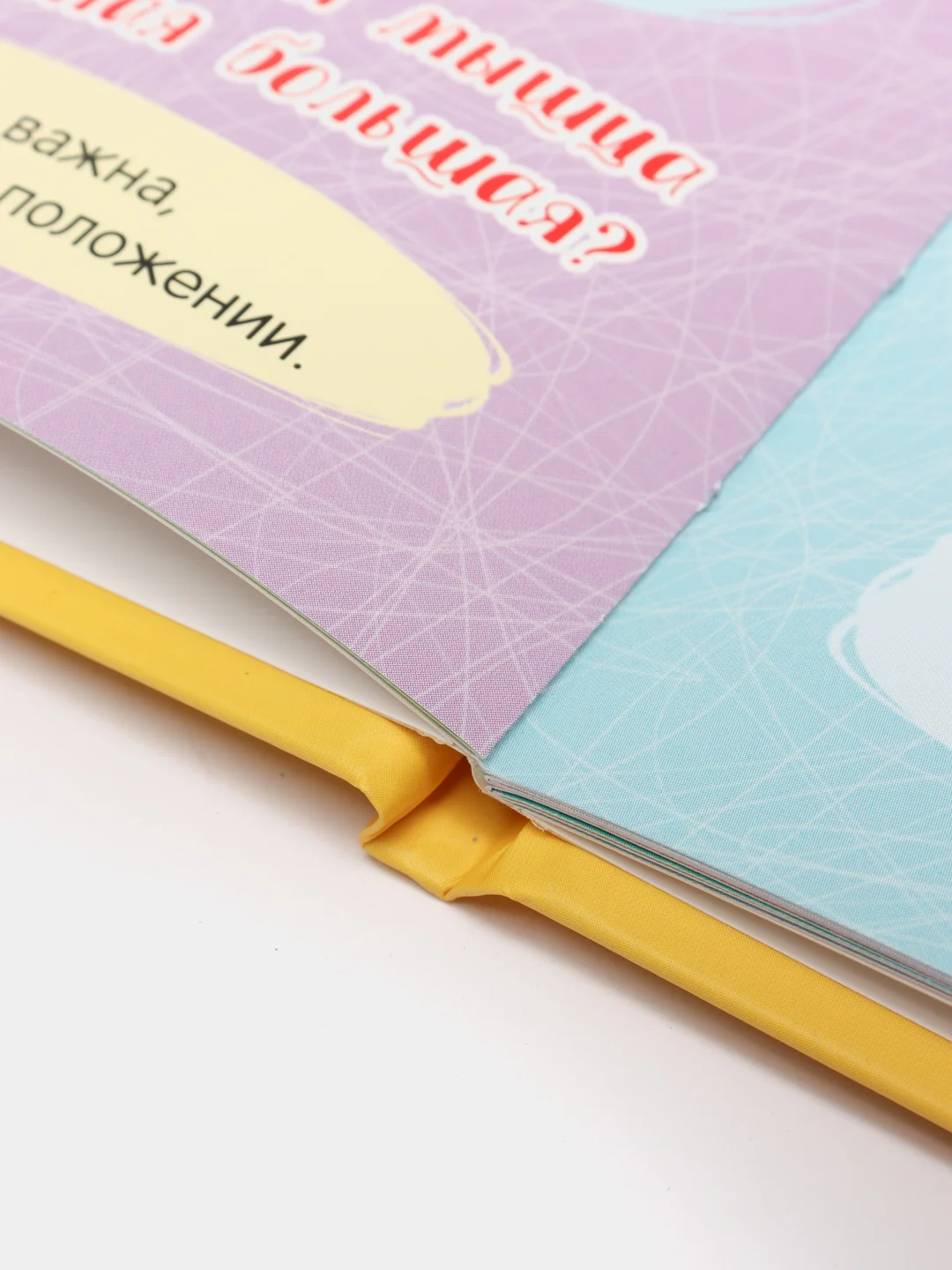 Книга для детей "Тело человека", Проф-Пресс