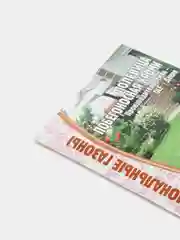 Полевица Кроми побегоносная, 20 г
