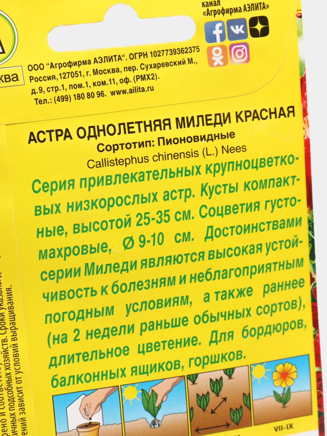 Семена Астра однолетняя "Миледи красная"