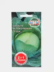 Семена Седек , Капуста белокочанная тёща 2+1