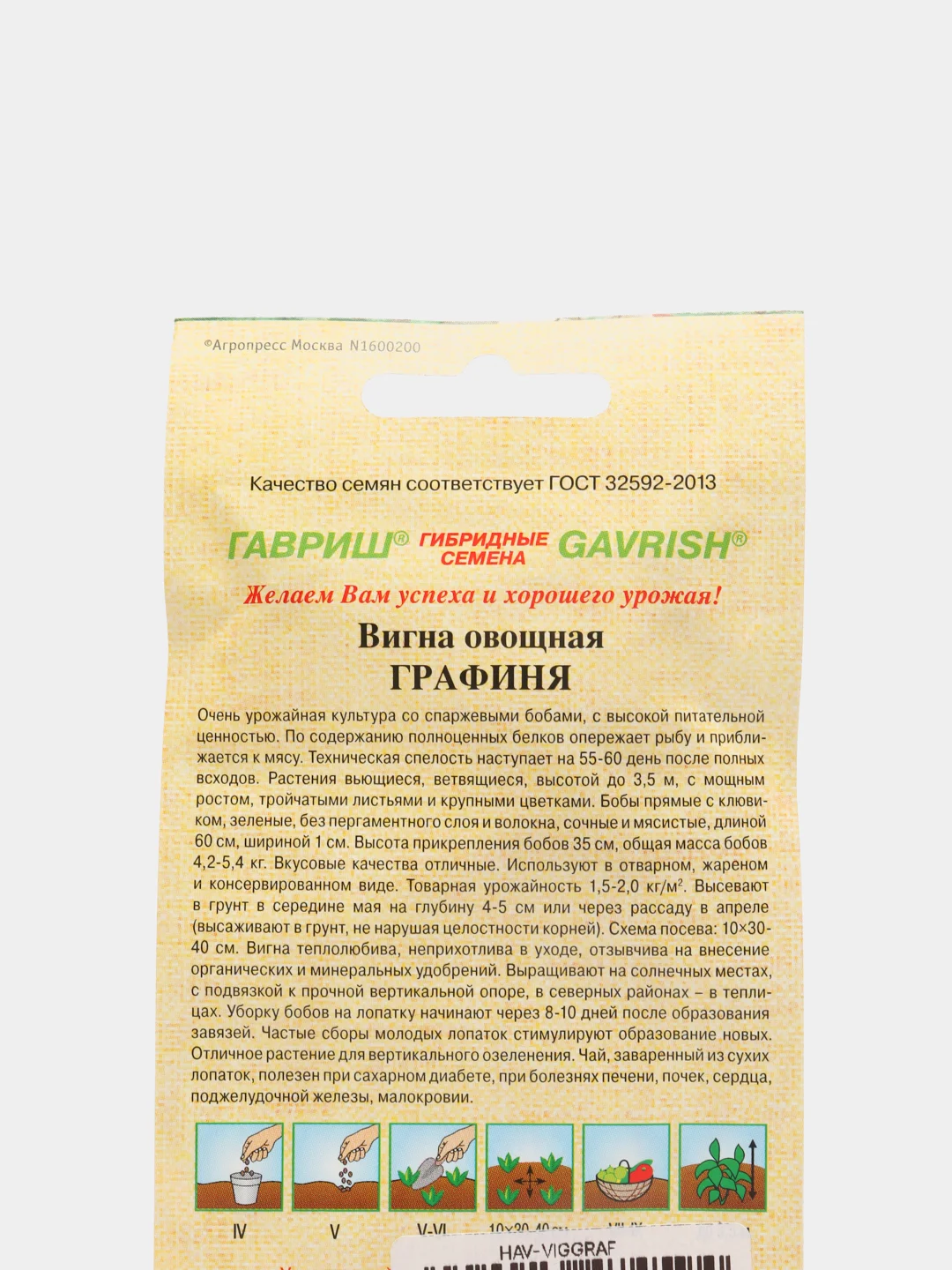 Вигна Графиня