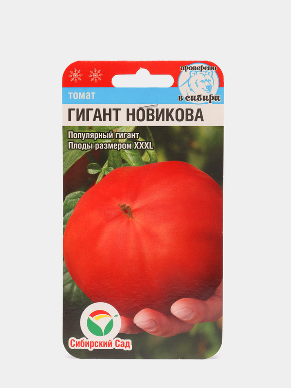 Томат Гигант Новикова Отзывы Фото