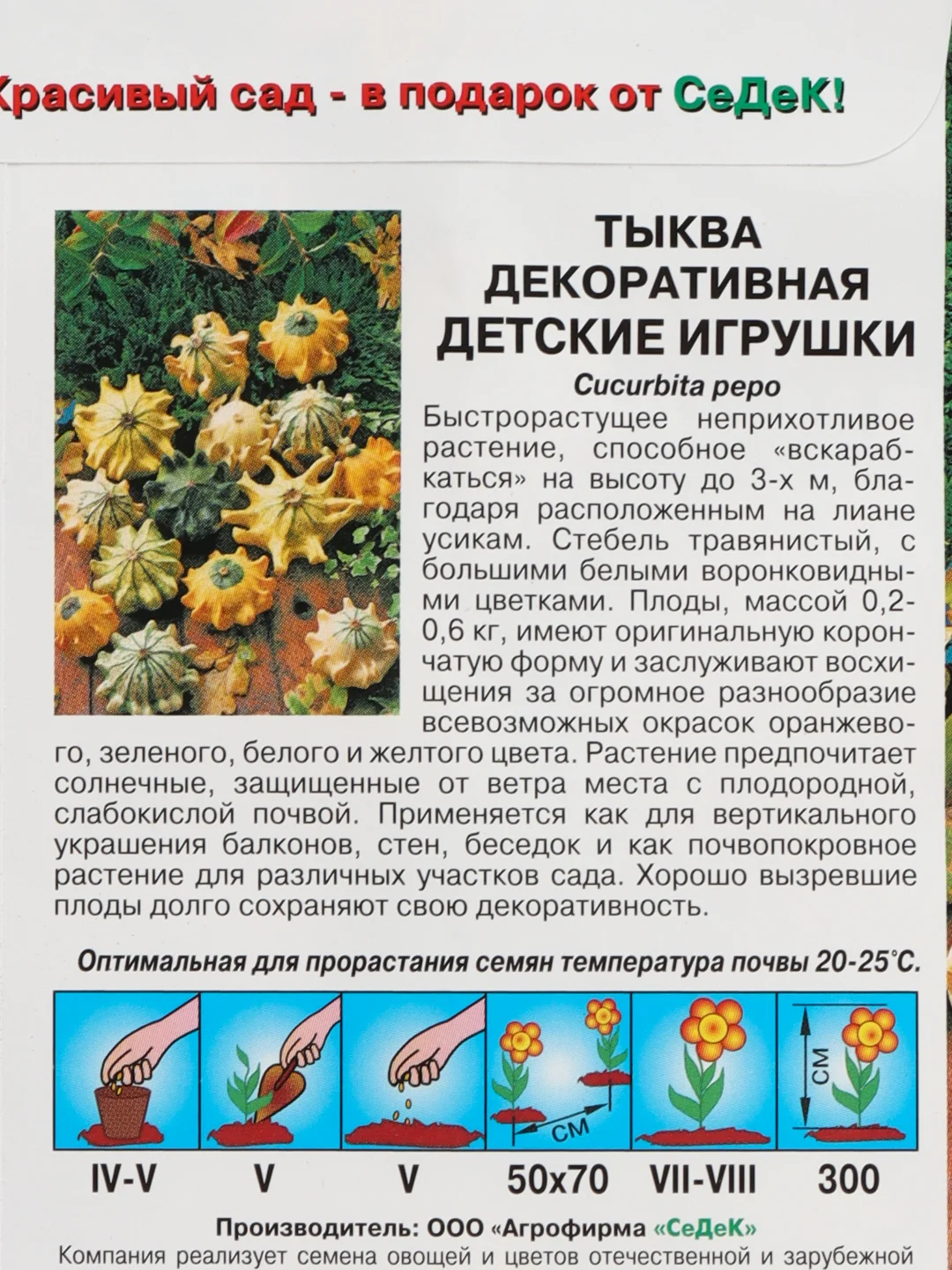 Тыква декоративная Детские игрушки (семена)