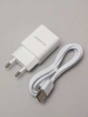 Зарядное устройство Borofone BA53A, 2 x USB, 1 m, Micro-USB / Type-C