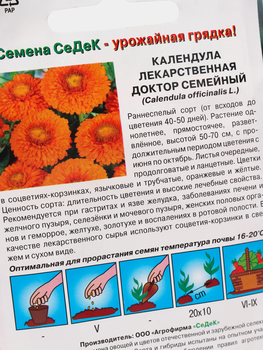 Семена "Календула лекарственная. Доктор семейный"