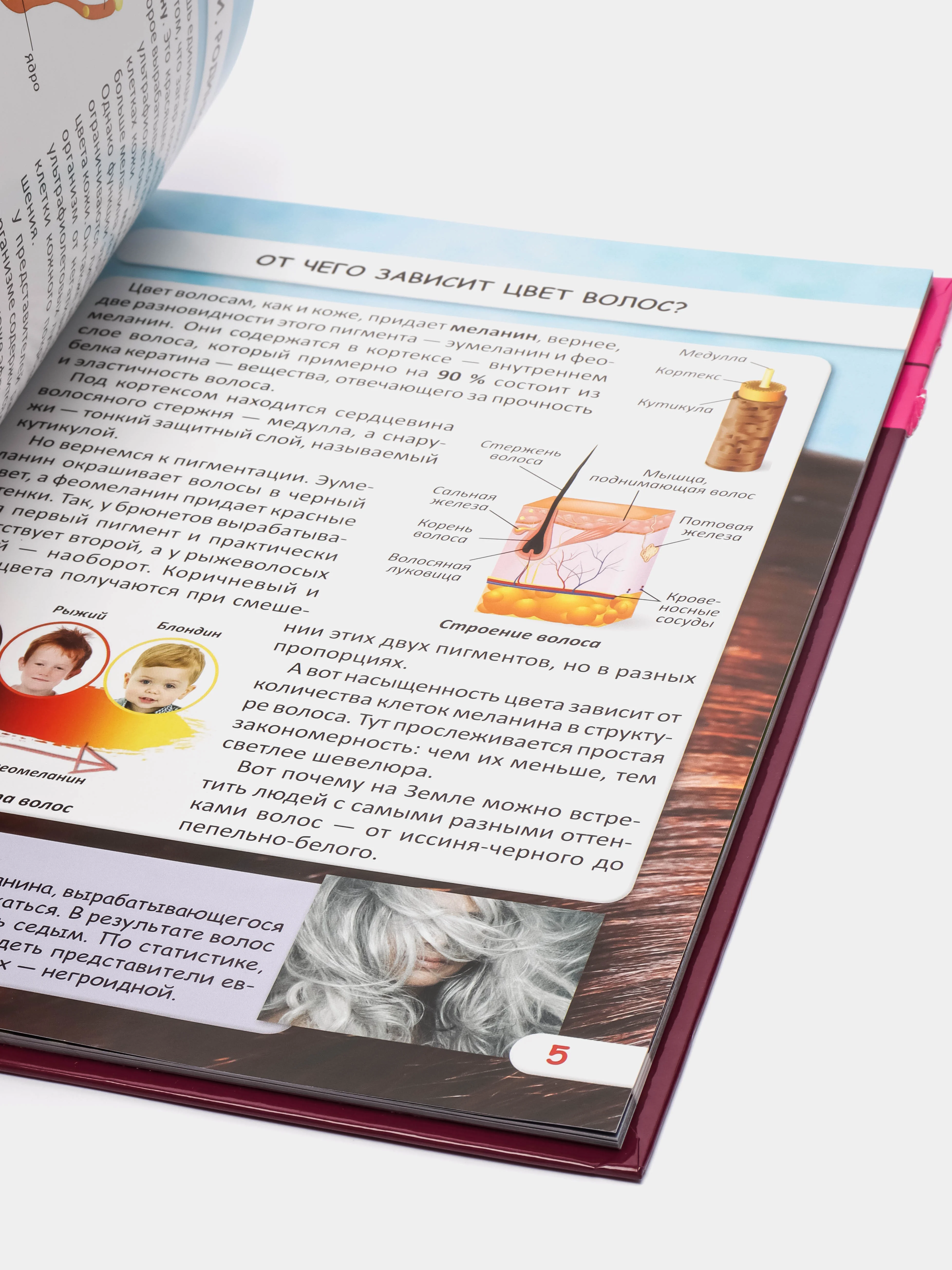 Книга. Мир вокруг нас. Как работает твое тело. Тело человека. Анатомия. Фотоэнциклопедия