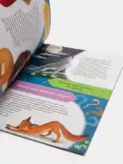 Книга с наклейками. Заниматика. Школа почемучки.  50 развивающих наклеек. Обучающая книга.