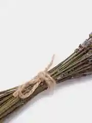 Лавандовый лаванда крымская, сухоцвет