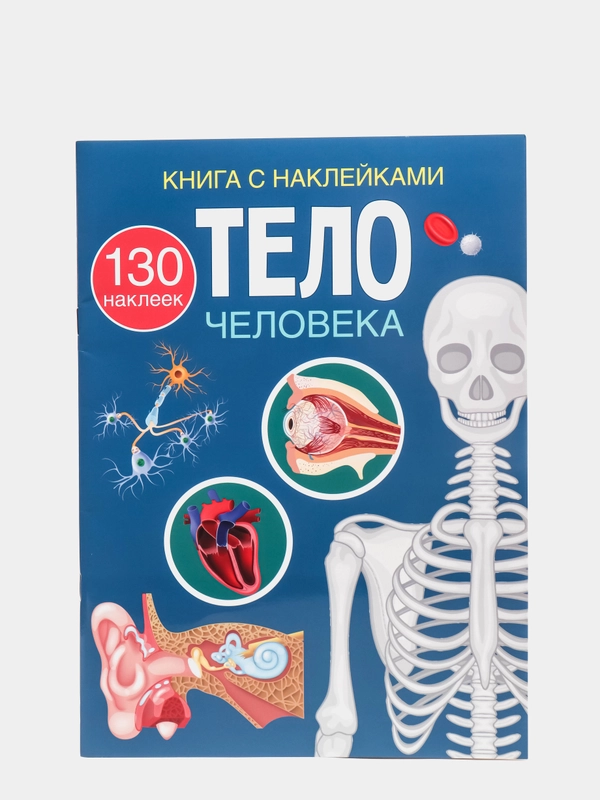 Книга с наклейками. Тело человека. Анатомия. Для любознательных мальчиков и девочек.