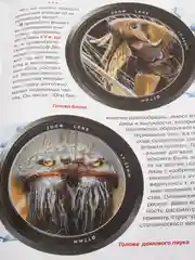 Большая книга. Микромир. (Микроскоп)
