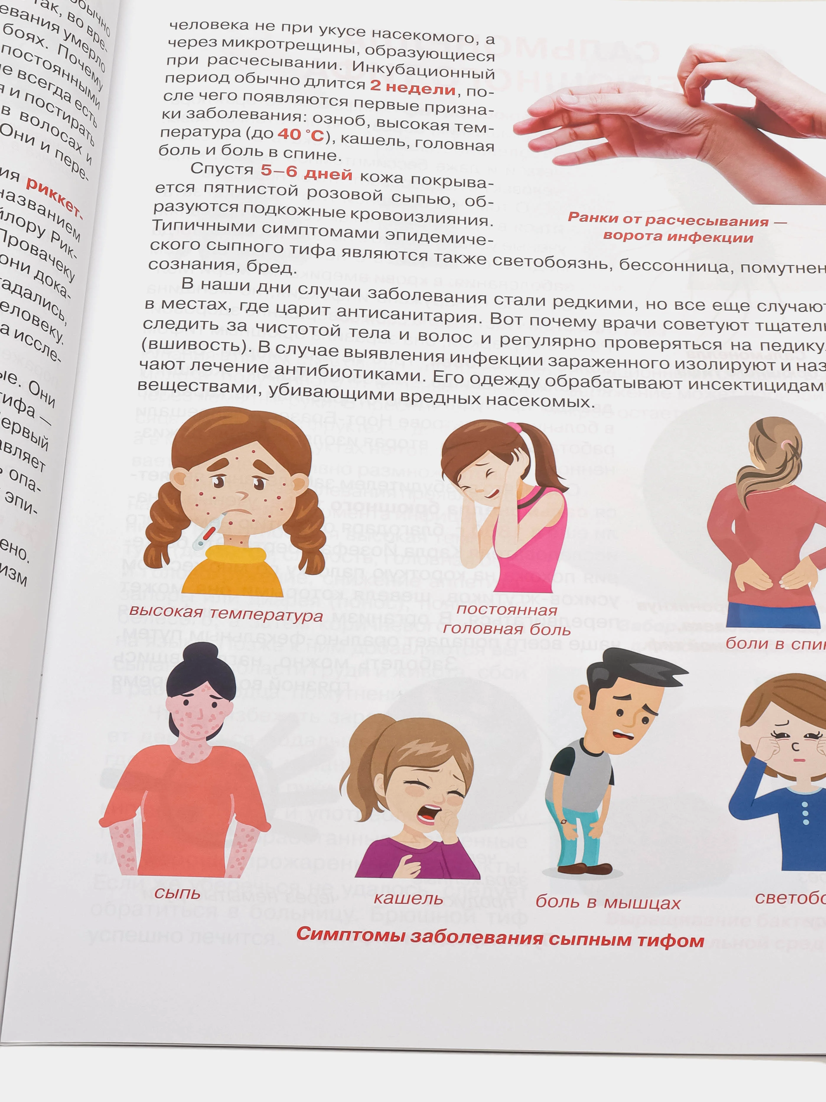 Большая книга. Бактерии. (Микроскоп).