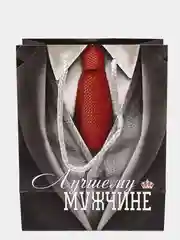 Пакет ламинированный вертикальный "Лучшему мужчине", 18 х 23 х 8 см