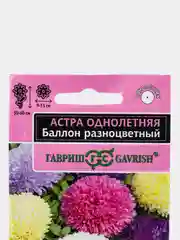 Астра баллон смесь, семена, цветы