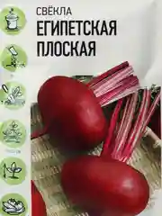 Семена Свекла "Египетская плоская"