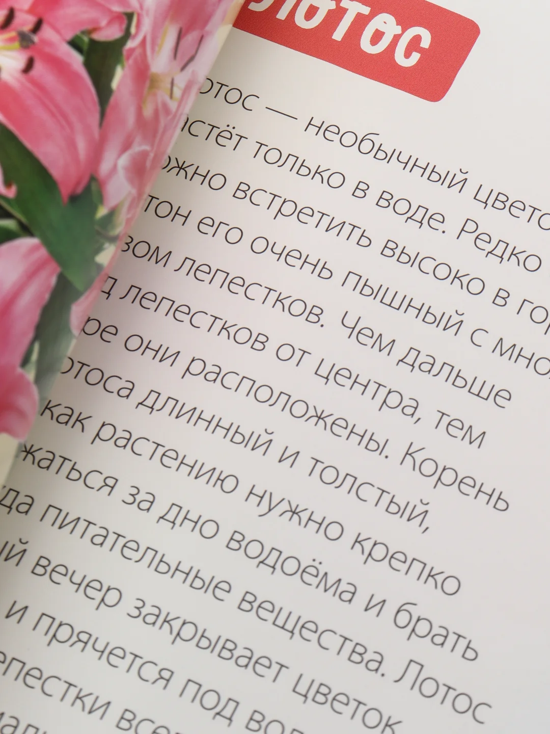 Обучающие книги "Овощи, Цветы, Природные явления, Деревья, Ягоды, Фрукты"