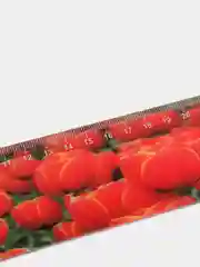 Линейка 3D, 30 см, BRAUBERG, объемная, "Красные тюльпаны", европодвес, 210590