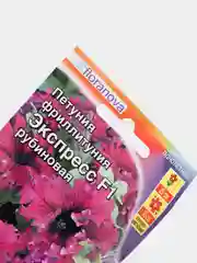 Фриллитуния (петуния) Экспресс рубиновая (семена,цветы)