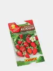 Земляника Ксюша (семена)