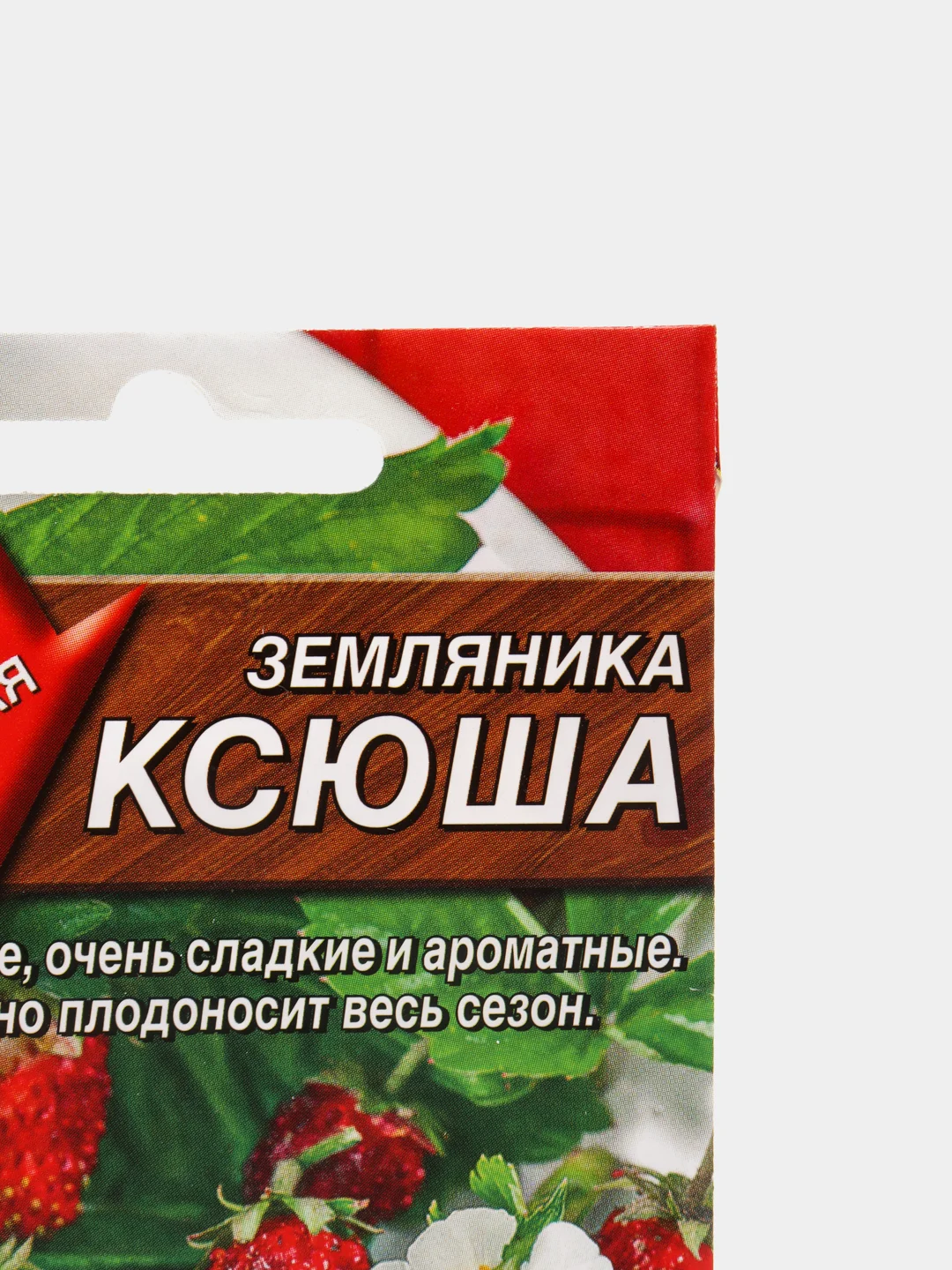 Земляника Ксюша (семена)
